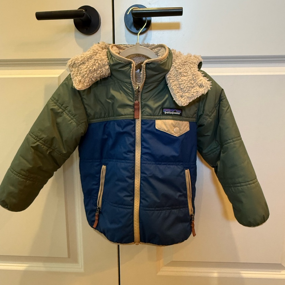 Patagonia Two-Tone Jacket with Sherpa Collar
